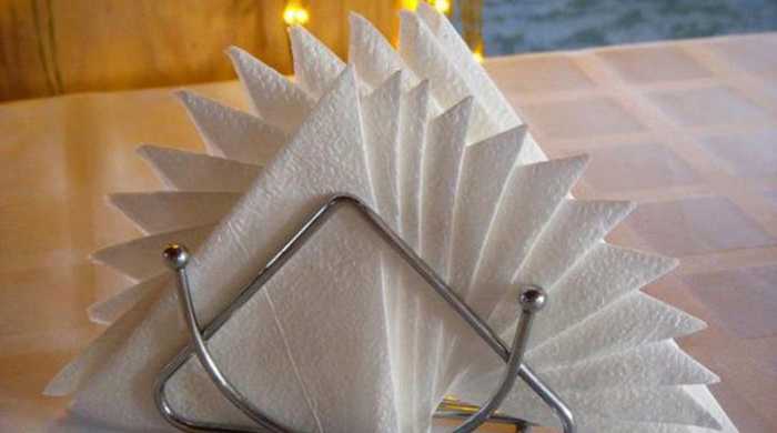 Как сложить бумажные салфетки для сервировки стола: идеи, схемы :: syl.ru