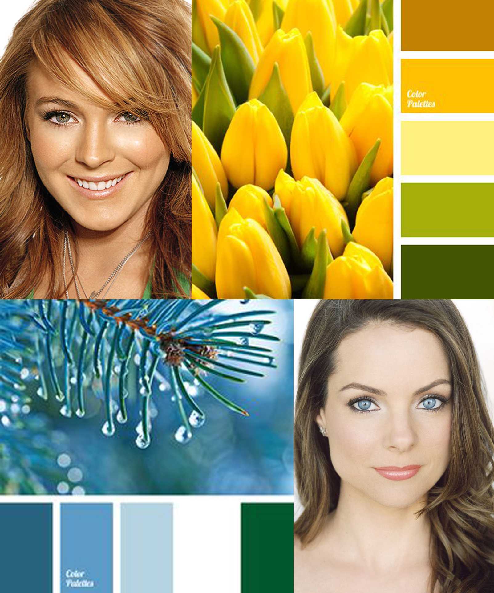 Цветотипы внешности: весенний, зимний, осенний, летний