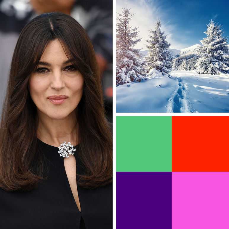 Цветотип "зима": цвет волос и гардероб