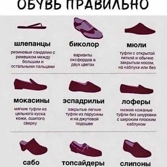 Названия женских туфель